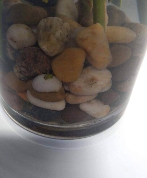 IMG_20190830_093836206