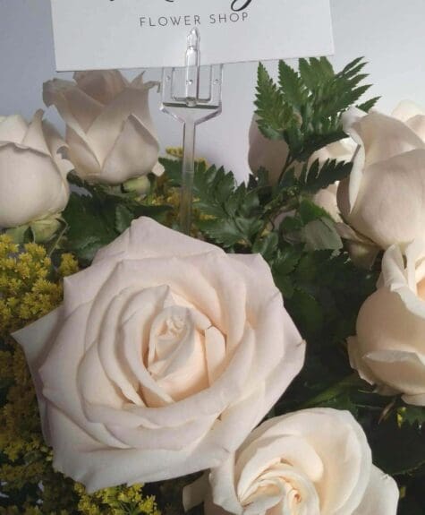 IMG_20190830_093843891