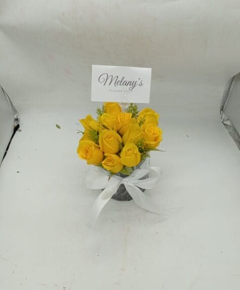 IMG_20221215_103648 IMG_20221215_103648