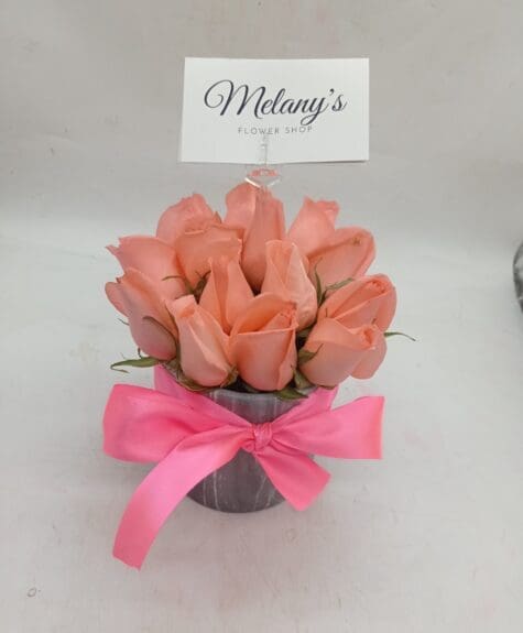 IMG_20221228_135216 IMG_20221228_135216