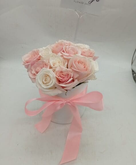 IMG_20221231_074819 (1) IMG_20221231_074819 (1)