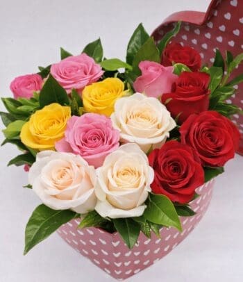 all you need is love 4