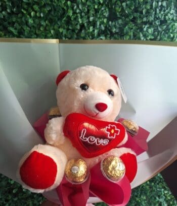 ´Peluche pequeño mas chocolates