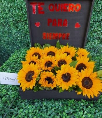 caja con girasoles