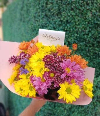 Ramo de chastas mixtas